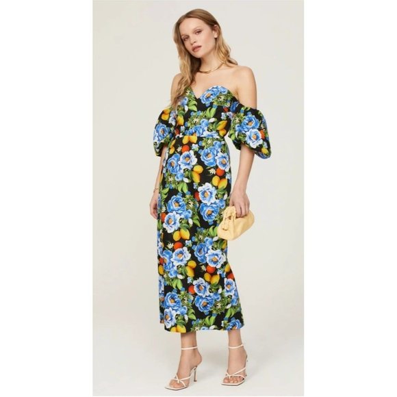 Borroco Dresses & Skirts - RTR size 10 Boroco De Nor Tati floral and citrus print sweetheart neckline dress